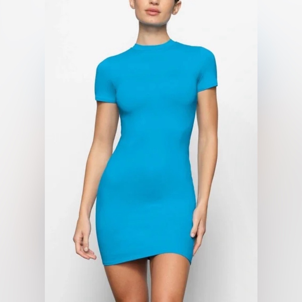 Skims swim dress